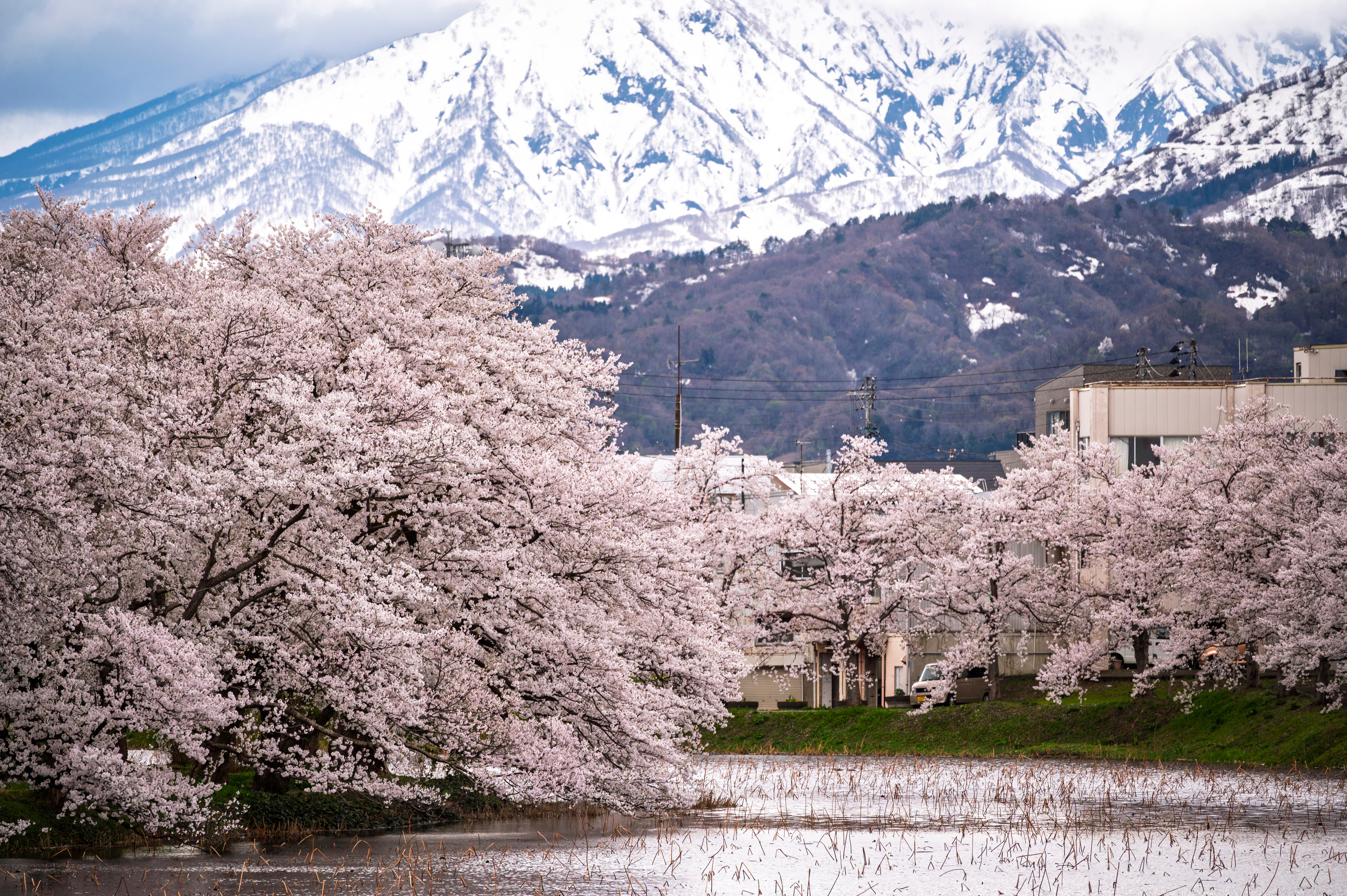 Niigata (Honshū, Jap&atilde;o) - Bild 1